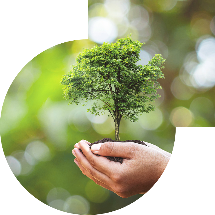 关怀人类、文化、环境与社会